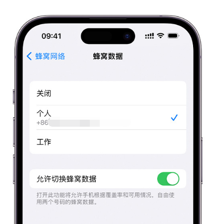 虎门港管委会苹果维修服务分享如何在iPhone上使用双卡 